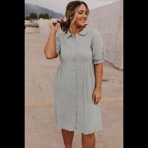 Roolee Peter Pan collar dress NWT